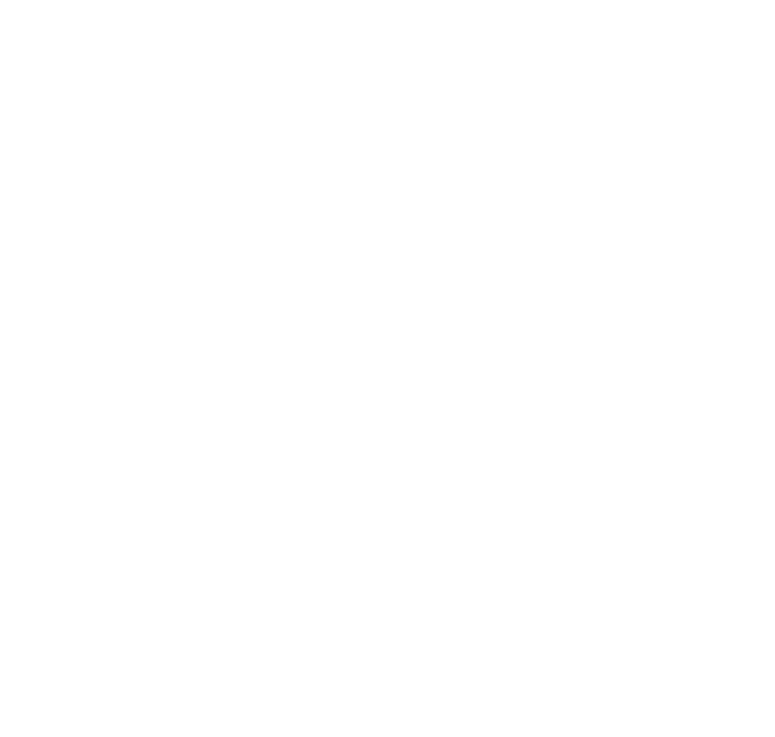 Icon ligue des champsions