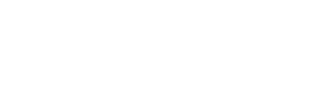 Icon UEFA Euro Cup