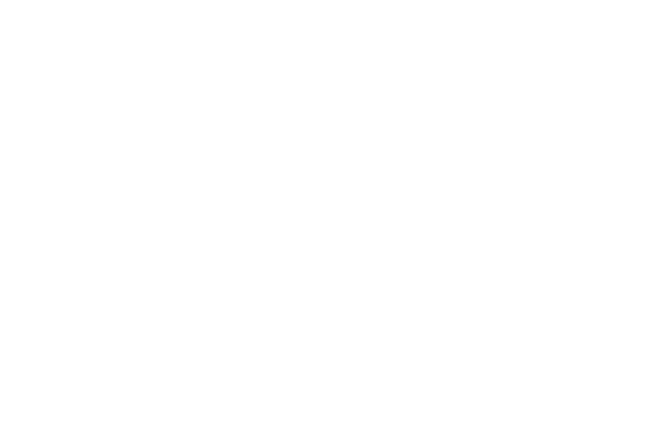 Icon US Open
