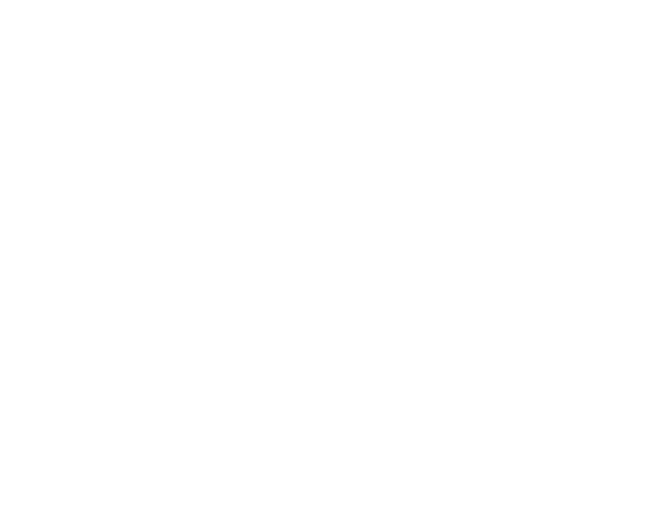 E1